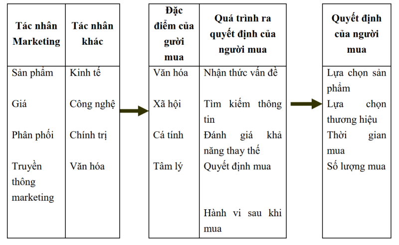 Hành vi của người tiêu dùng (thị trường tiêu dùng), Phân tích các cơ hội marketing